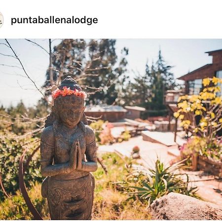 Punta Ballena Lodge Pichilemu Exterior photo
