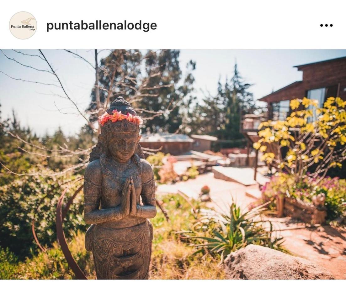Punta Ballena Lodge Pichilemu Exterior photo