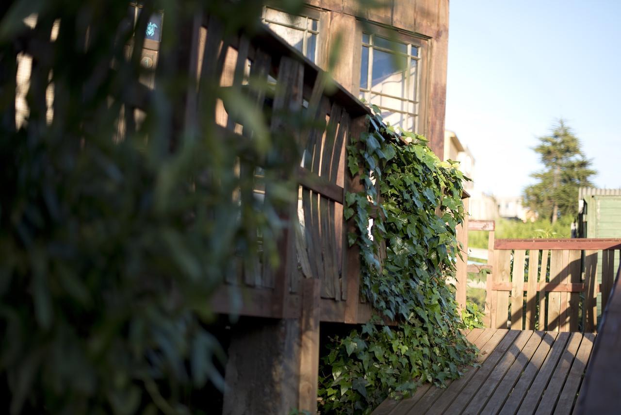 Punta Ballena Lodge Pichilemu Exterior photo